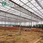 Transparent Polythene Tunnel Greenhouse for Growing Vegetables AGRICULTURE