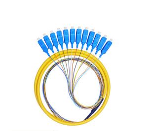 Quality 12 Cores Fan Out Fiber Optic Pigtail Waterproof , SC PC Pigtail For Couples wholesale