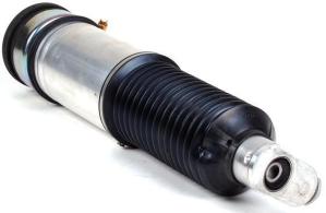Quality 37106778798 Air Suspension Parts Air Suspension Strut wholesale
