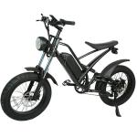 DOMANCA 750W High Speed Dirt Bike Off-road Fat Tire Ebike Customized E Bike