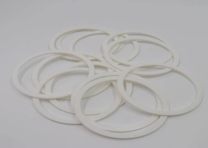 Oil Resistant Excavator Spare Parts BRT ABA White FKM EPDM Oil Seal