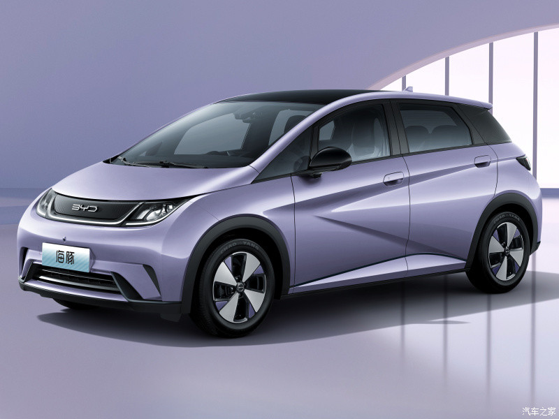 BYD Dolphin 2023 420KM Fashion Version Compact SUV Pure Electric Permanent Magnet