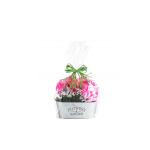 Anti Corrosion Cellophane Gift Bags Light Weight With High Transparency