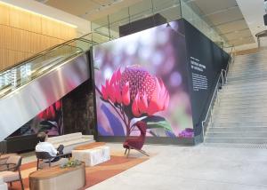 Quality Die-Casting Aluminum Rental Screen RGB Outdoor HD Waterproof LED Video Display , P8 Full Color LED TV Wall Screen wholesale