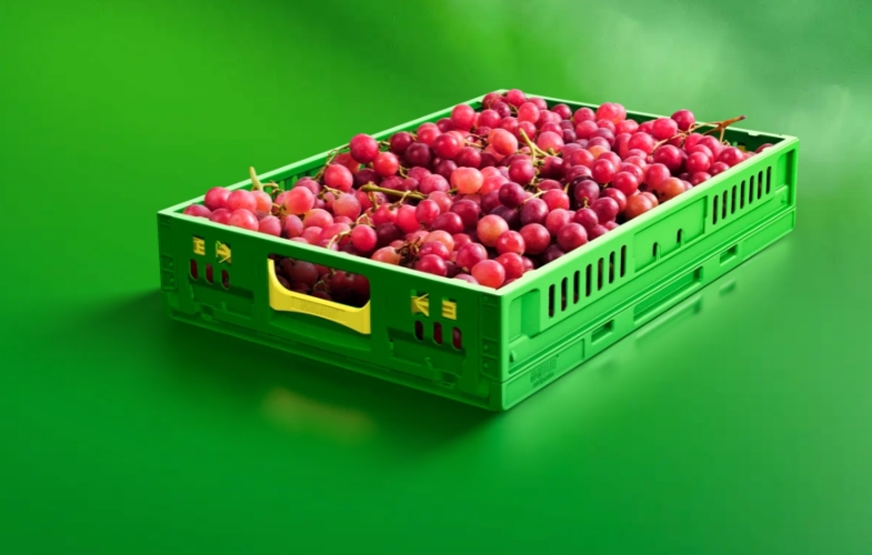 Virgin Plastic Collapsible Folding Vegetable Crate for Agriculture Fruits Transportation