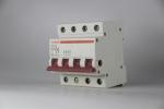 VIS100 4P 100A Main Switch Isolating Circuit Breaker Household Function