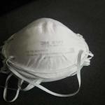 Earloop N95 Face Mask