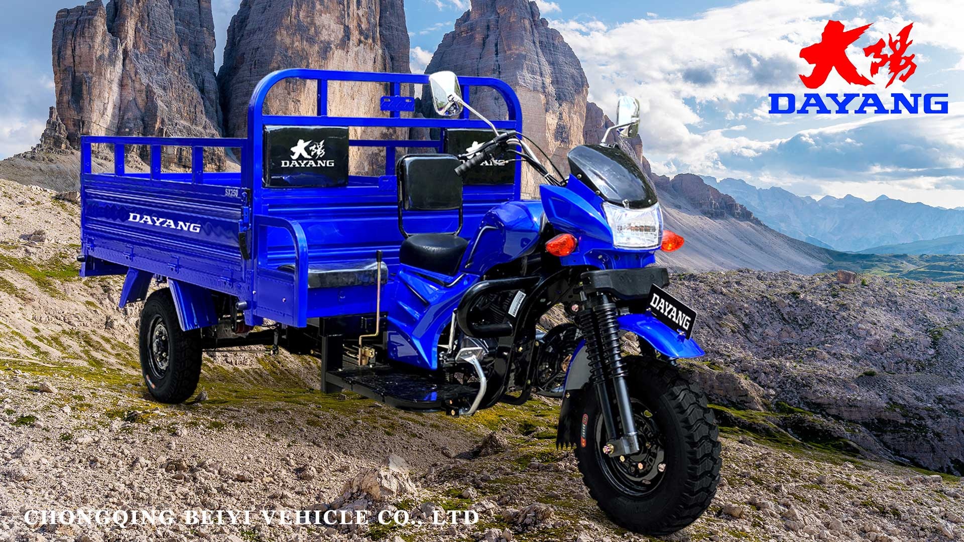 Fuel- 150cc Cargo Motorcycle with 800KG Loading Capacity and 10-20L Fuel Tank Capacity