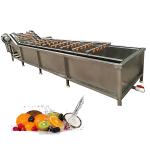 Industrial Air Bubble Ozone Fruit Vegetable Washing Machine