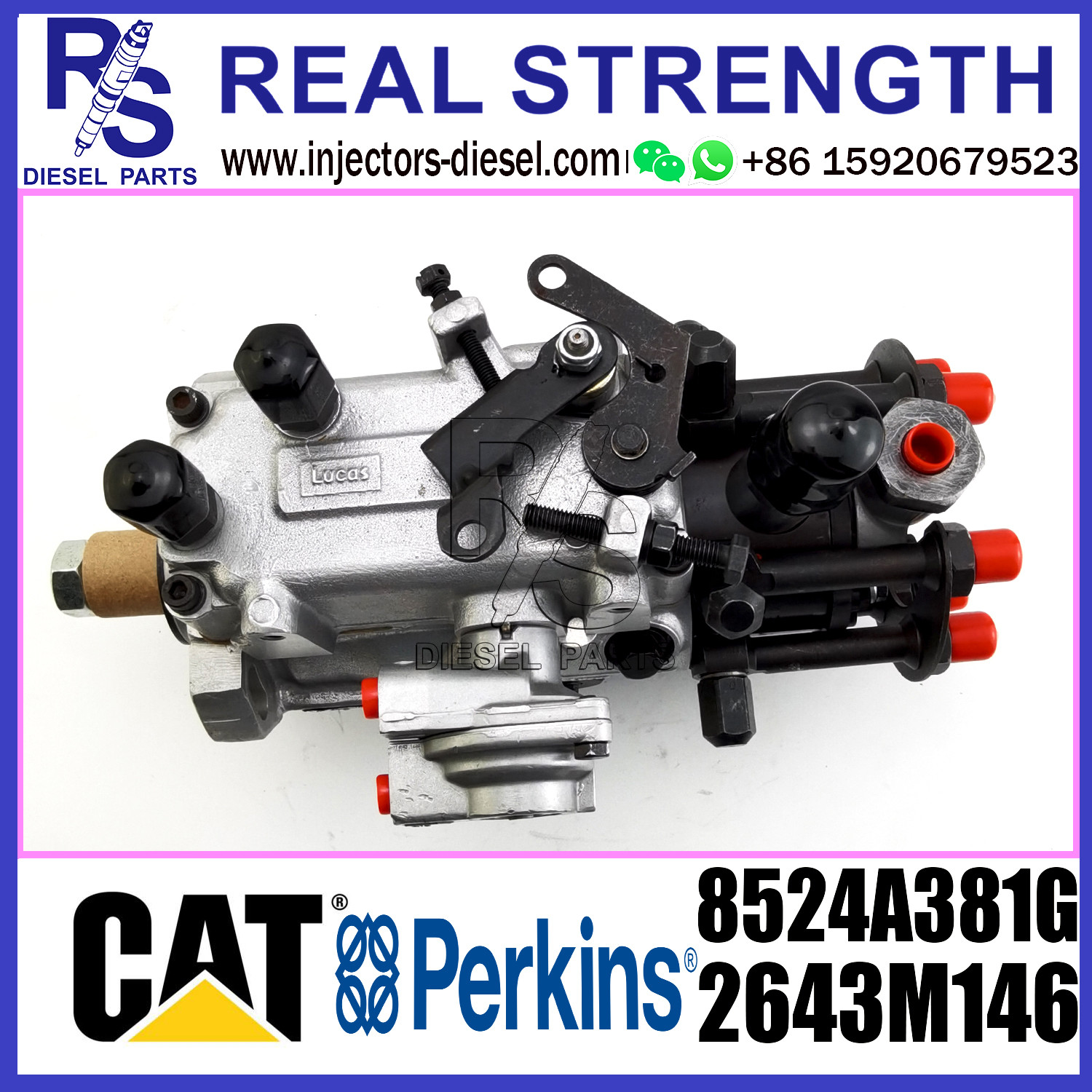 Delphi 6 Cylinder Fuel Injection Pump 8524A381G 2643M146 For Tractor or Truck Engine Assembly