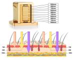 Commercial 600w 808 Diode Laser For Hair Removal Stationary 755 808 1064