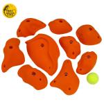 Child Adult IFSC Approved GRP Resin Rock Climbing Holds for Indoor Commercial