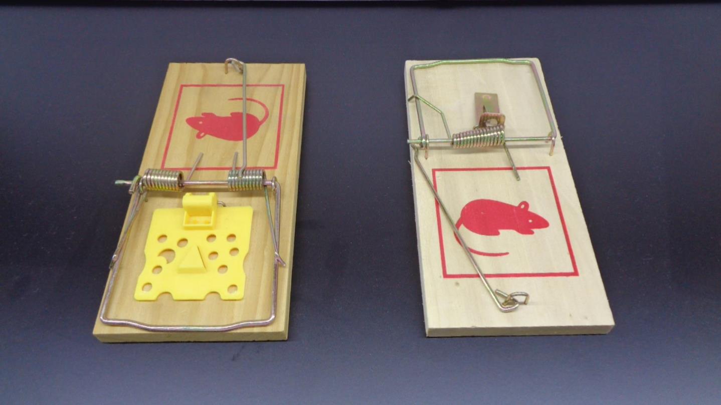 Sticky Insect Flying Trap for Catching Insects in Garden Sustainable