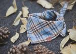 Blue Dog Scarf Collar Puppy Bandana Collar Plaid Cotton