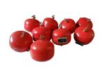 Automatic Mode Clean Agent FM200 Fire Extinguisher Occupying Little Space
