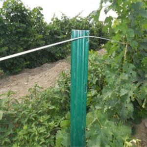Quality Durable Garden Plant Support Posts C Shaped / U Shaped Heat Treated wholesale