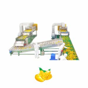 Quality Automatic Fruit Juice Production Line 75kw For Beverage Factory wholesale