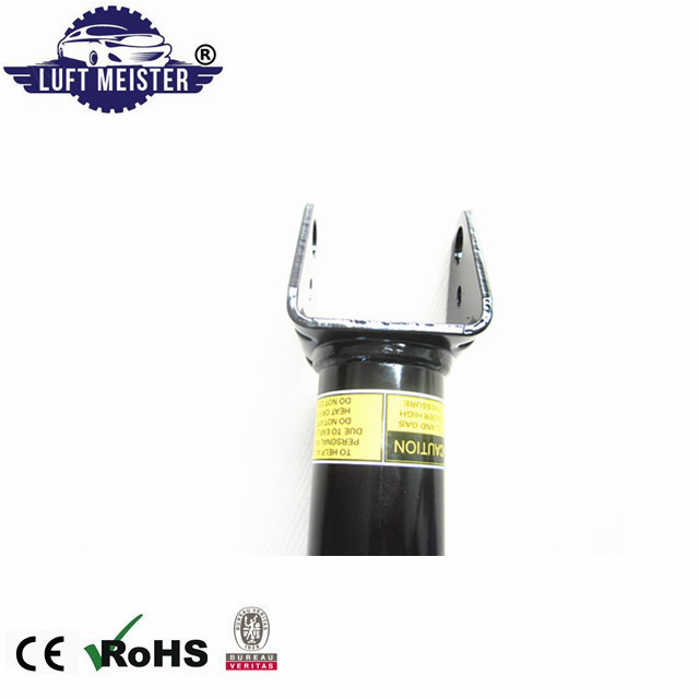 Rear Shock Absorber for Mercedes W166 ML350 A1663200030 A1663262000