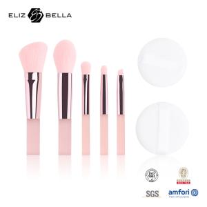Quality 5pcs Cute Travel Makeup Brush Kits With Clear Printing PVC Packaging Box OEM wholesale
