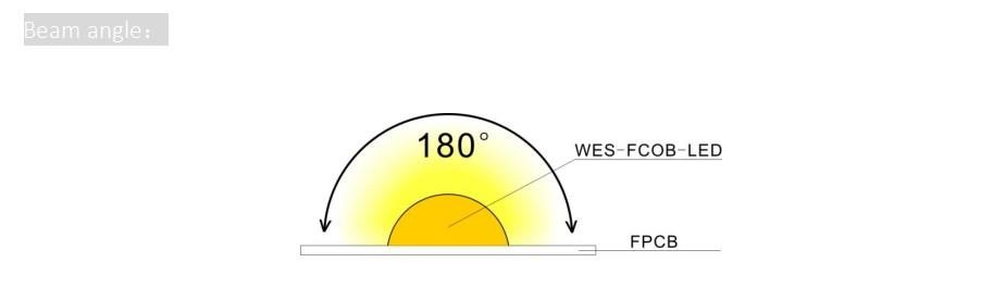 Dotless Outdoor COB LED Strip Light Flexible IP65 2700-6500K 12V 24V