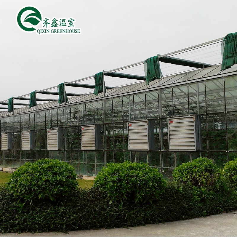 Glass Greenhouse Ventilation System with Tempered Glass or PC Sheet Top Covering