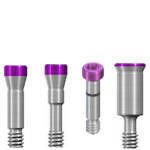 ITI Straumann Bone Level Torx Dental Implant Titanium Screw 3