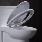 10 Inch Rough In One Piece Elongated Toilet 1 Piece Comfort Height Toilet