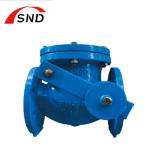 Flanged Cast Iron Swing Check Valve Customized For Liquefied Gas