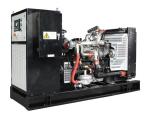 IP23 Protection Class Gas Generator Set 10kw 1000kw for Electric Power