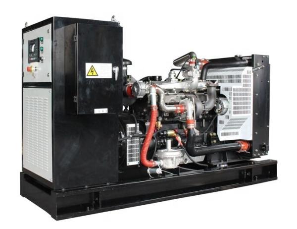 Deutz Engine 50kw 60kw 80kw Gas Generator for Biogas Natural Gas LPG Methane