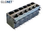 1000 Base T Magnetic RJ45 Jack