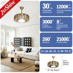 1stshine 100% Copper Motor LED Ceiling Fan for Standard Wind in Bedroom and