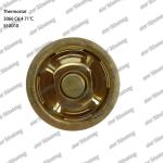 Thermostat 3066 C6.4 5I-8010 Engine Part