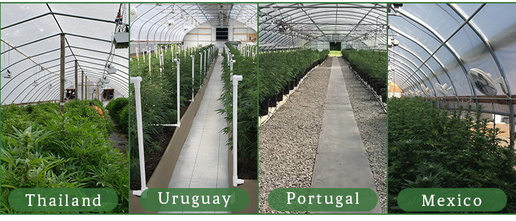 LED Lighting System Light Dep Greenhouse With Aluminum Alloy Frame