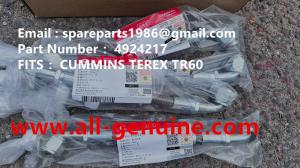 Quality 4924217 CUMMINS TEREX NHL MINING DUMP TRUCK TR35 TR50 TR60 TR100 3305B 3305F 3303 3307 TR45 TR70 MT4400 wholesale