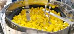 Fertilizer 5-30L Drum Single Head Automatic Capping Machine