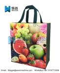 Fruit printing Promotional Ultrasonic Non woven Supermarket Shopping Bags