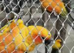 304 316 Stainless Steel 1.2mm Aviary Mesh Netting