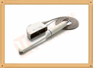 Quality Endocavitary Medical Siemens Ultrasound Transducers For Early OB wholesale