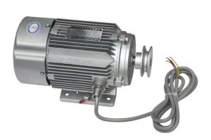Quality Bernet Brand High Quality Ex-Proof SSS380 Three Phase Motor Fuel Dispenser， wholesale