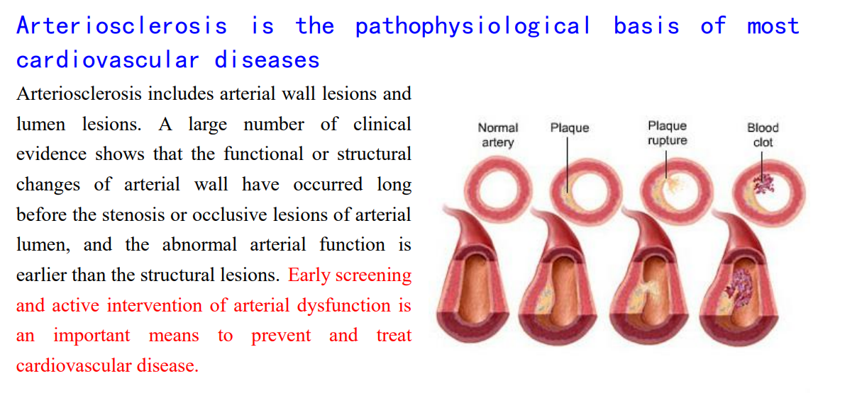 arterial elastic function tester, arteriosclerosis detector