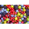 Buy cheap ISO Certified DDCaroma Fruit Flavor Enhancer Natural Feed Additives For Poultry from wholesalers