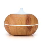 Home Electric Ultrasonic 100ml USB Aroma Essential Oil Diffuser