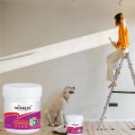 Brush Application Method K11 General Waterproof Coating for Long-Lasting Roof