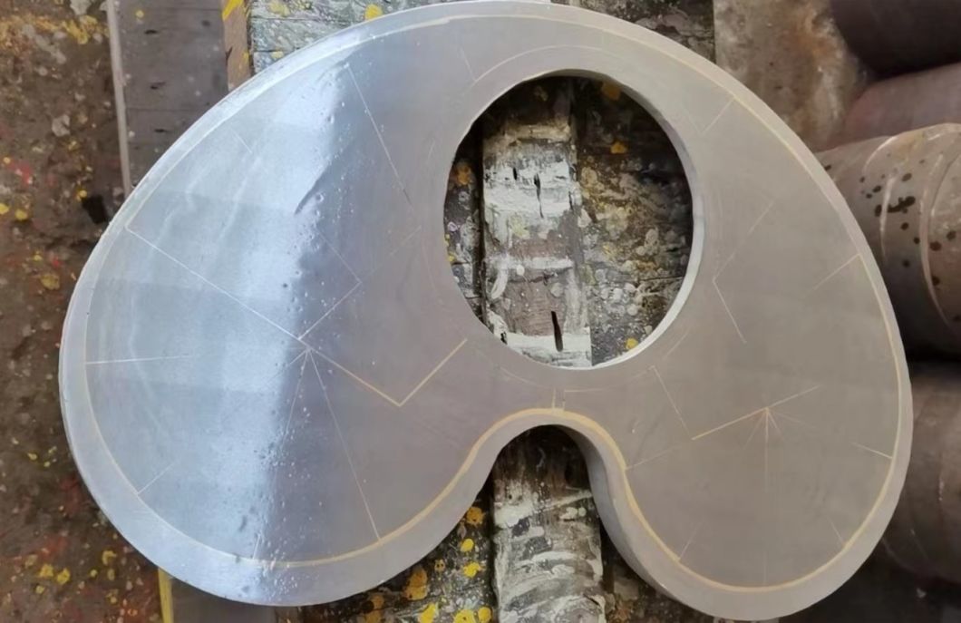 Factory Delivery Zoomlion Putzmeister Concrete Pump Wearing Parts Spectacles Plate