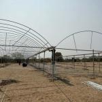 Film Covered Greenhouse for Agriculture in Namibia Affordable and Customizable