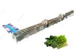 CE Certified Stainless Steel Commercial Vegetable Washer Washing Line Vegetable