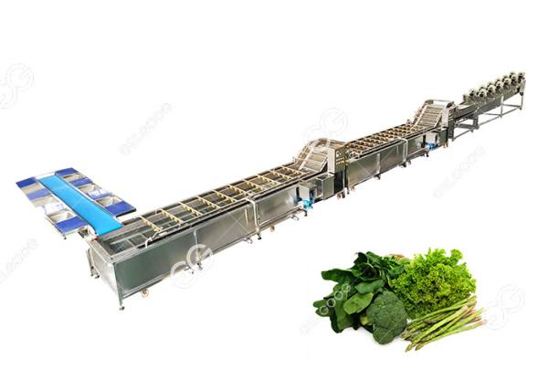 CE Certified Stainless Steel Commercial Vegetable Washer Washing Line Vegetable