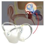 Vertigo Cochlea Inner Ear Cranial Nerve Rehabilitation Anatomical Function