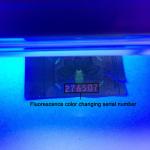 Holographic Tax Stamp for Enhanced Anti Counterfeiting Measures